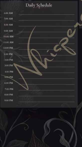 The Daily Plan