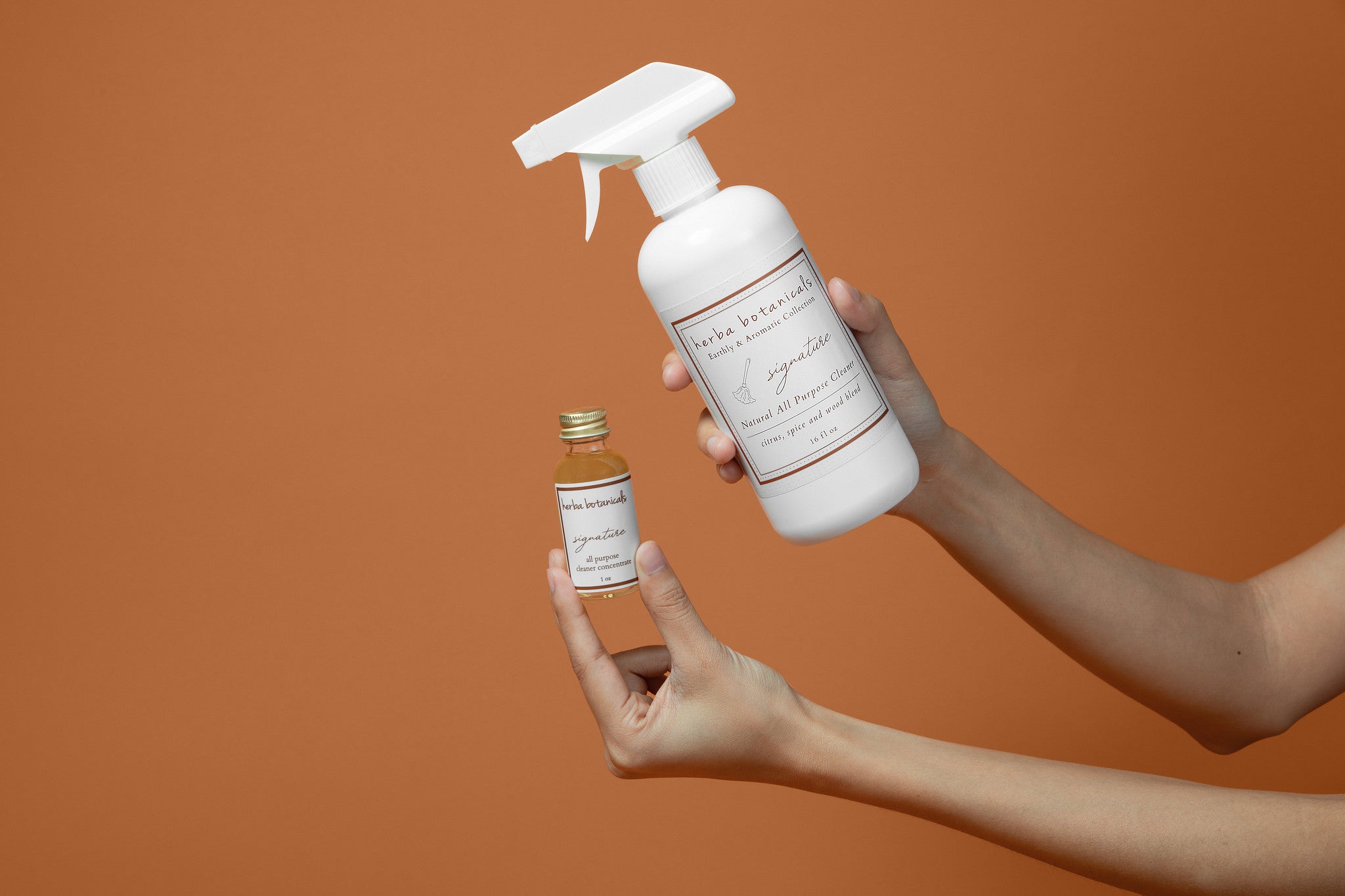 cleaner concentrate